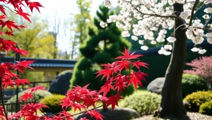 Przeczytaj więcej o artykule Najpiękniejsze drzewa Japonii – od sakury po bonsai i klony momiji