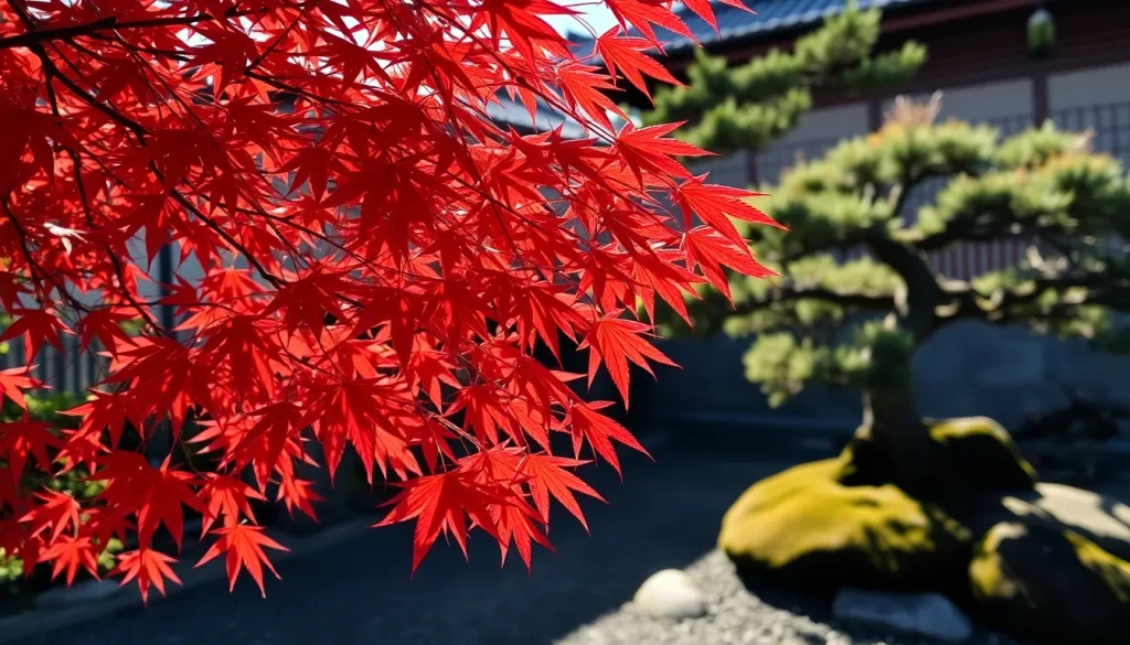 Aktualnie przeglądasz Japońskie rośliny – od klonu palmowego po bonsai. Poznaj ich sekrety